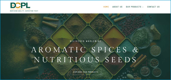 Website Degign Company