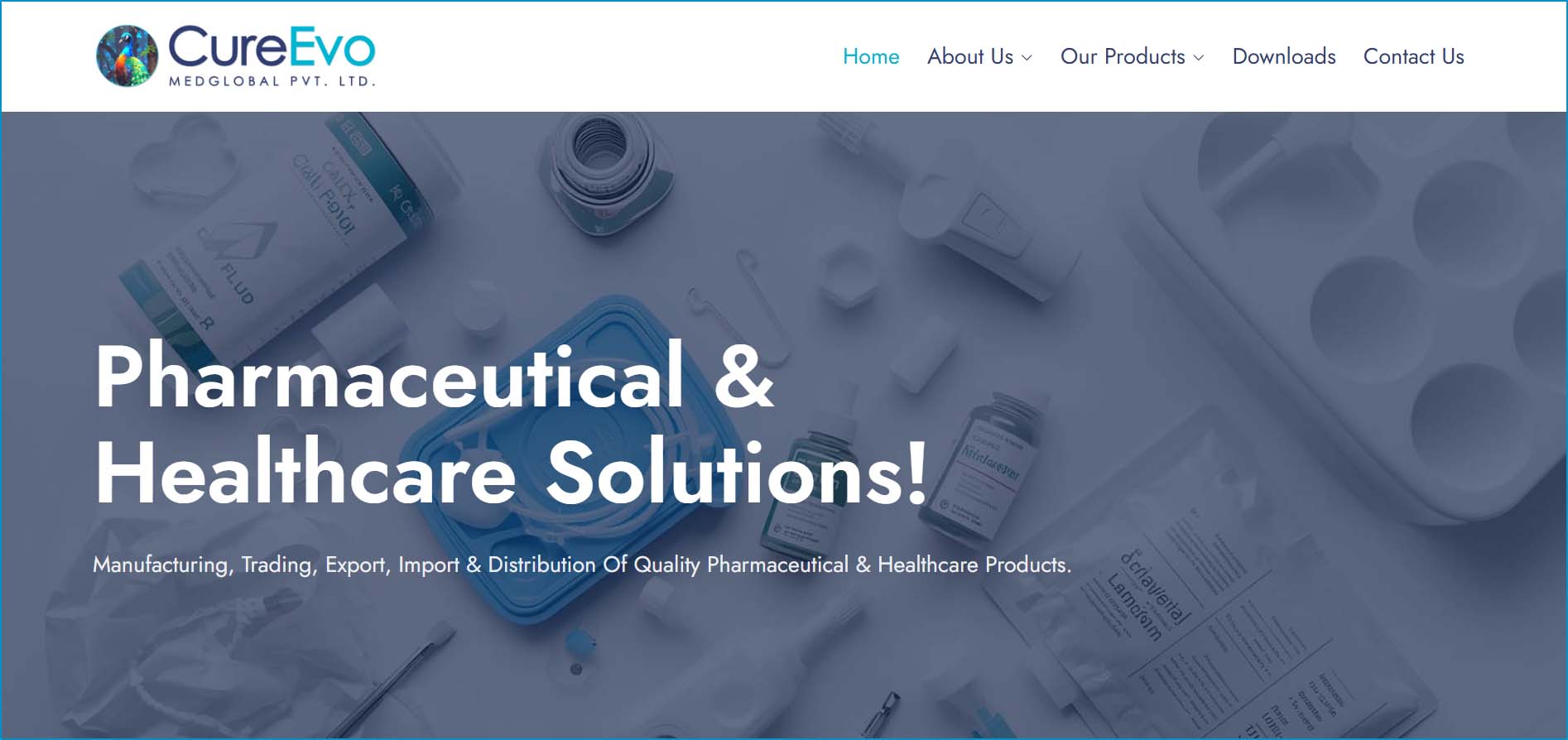 Website Degign Company